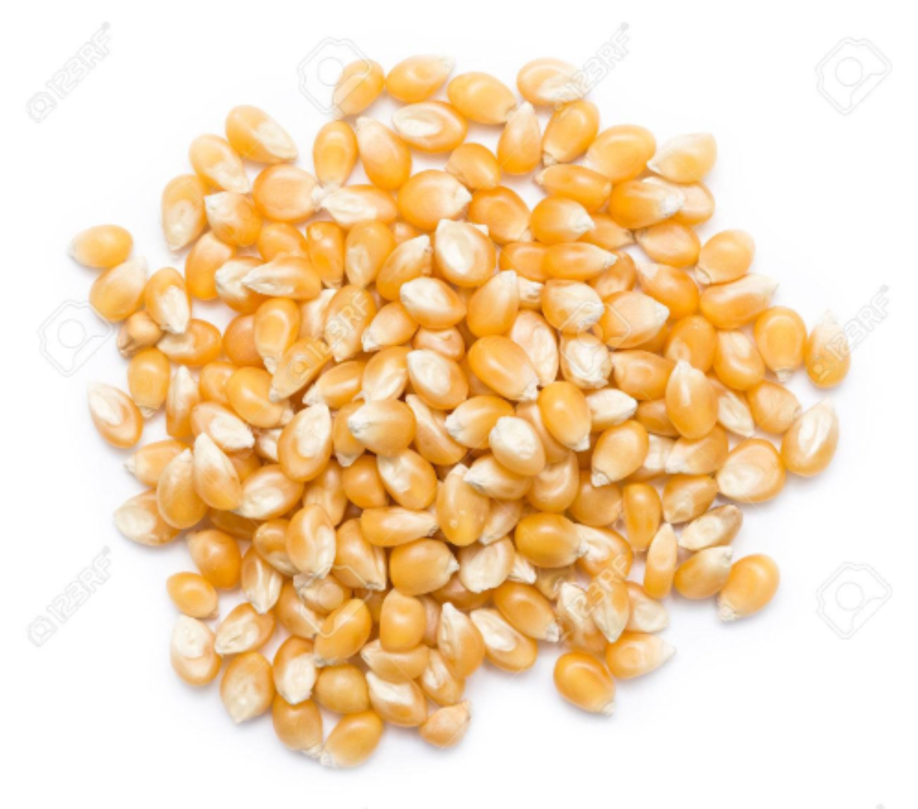 Popcorn Kernels,500g